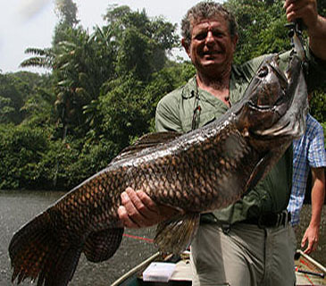 1430_Guyane Amazonie Peche_Aymara_Hoplias aimara.jpg 1430_Guyane Amazonie Peche_Aymara_Hoplias aimara.jpg